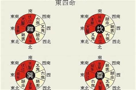 西四命方位|西四命是什么意思 乾坤艮兌位